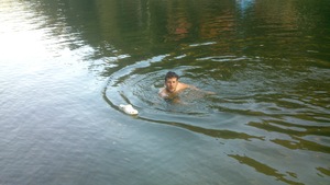 Seznámení s gogosik