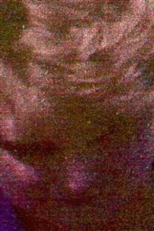 Seznámení s veverka68