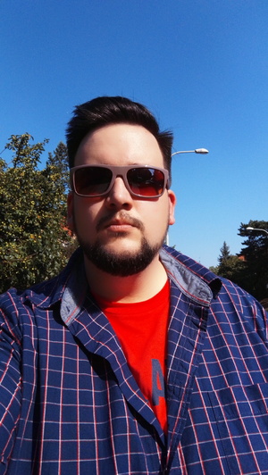 Seznámení s Bolinger