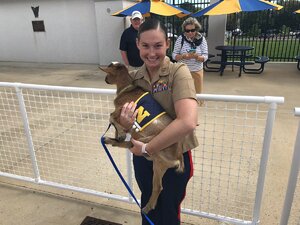 Seznámení s katie111