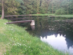 Seznámení s Sumavan