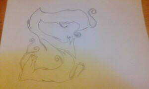 Seznámení s oznacenej555