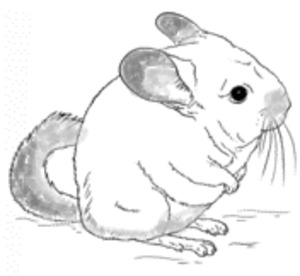 Seznámení s Zajda21