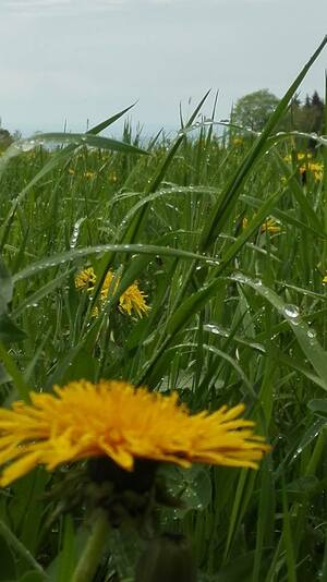 Seznámení s asteroidb613