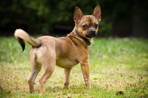 Seznámení s Renatka87