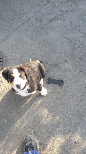 Seznámení s asdfghjklyxcvbn