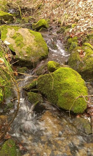 Seznámení s Kocour123