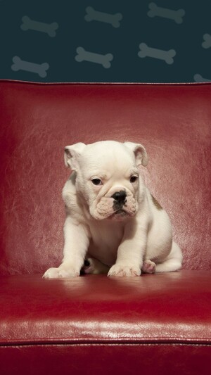 Seznámení s Kubiiik18