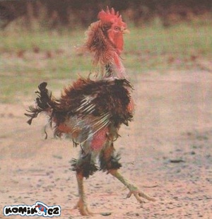 Seznámení s DeMiKa