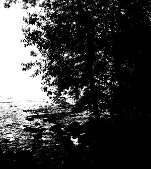 Seznámení s Amoquiaabsurdum