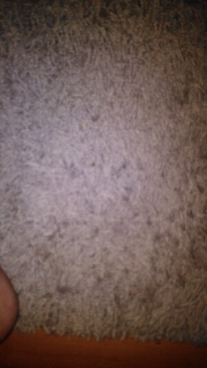 Seznámení s Rybaryba