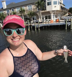 Seznámení s higginsone