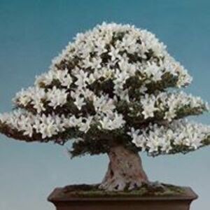 Seznámení s vyskoc1