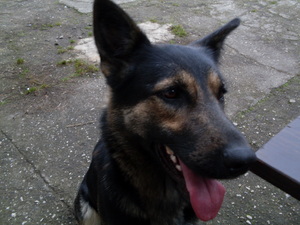 Seznámení s PavelKKK