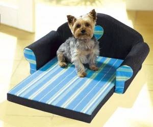 Seznámení s Kanape07