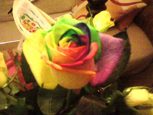 Seznámení s Kuliferda88