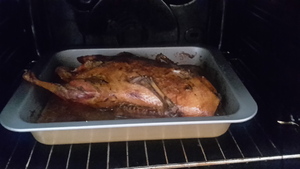 Seznámení s tteflon