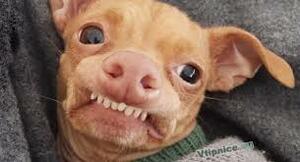 Seznámení s saller11