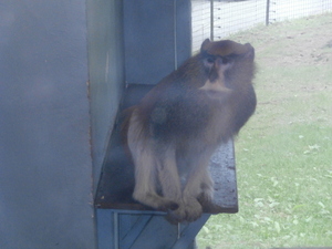 Seznámení s mysak1850