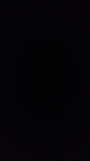 Seznámení s lachtaneek