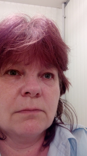 Seznámení s Malapastika