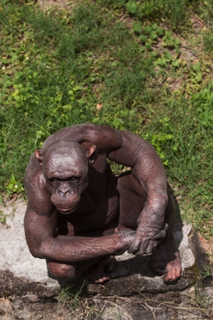 Seznámení s KlenotLuznice
