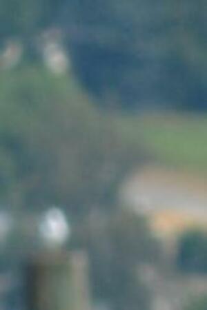 Seznámení s trejin