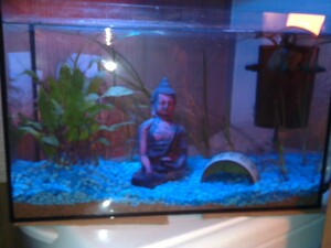 Seznámení s Husarek