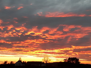 Seznámení s garrulus