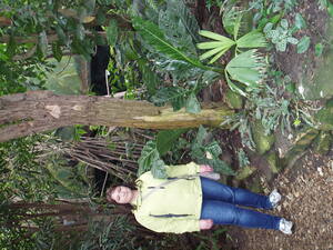 Seznámení s Slunicnice75