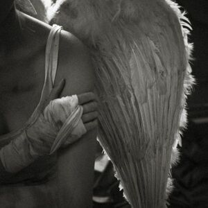 Seznámení s andelbezkridel