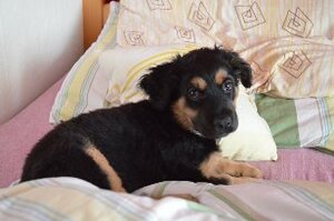 Seznámení s Best_FalconZ