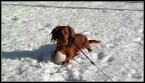 Seznámení s Jana1065