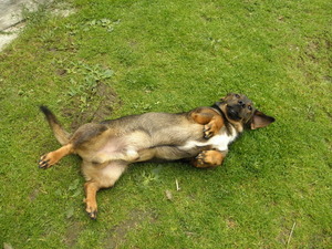 Seznámení s stackle