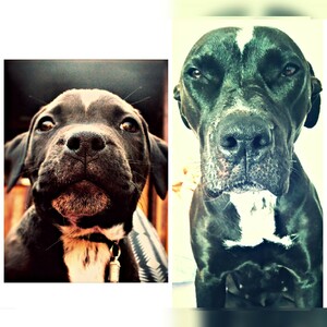 Seznámení s vozin2