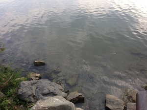 Seznámení s maluseverest