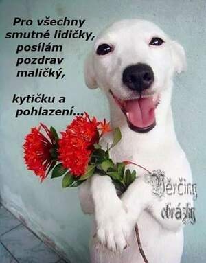 Seznámení s Mazlinka69