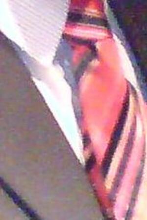 Seznámení s bicaud