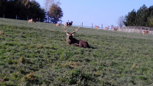 Seznámení s Lendacek86