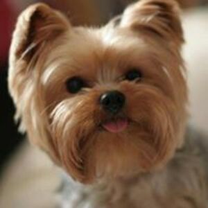 Seznámení s cristyne