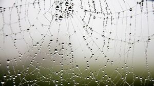 Seznámení s Kde0jsi