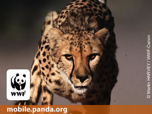 Seznámení s Marko111