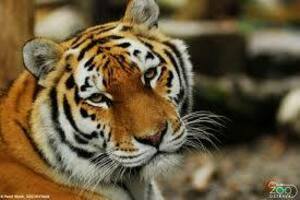 Seznámení s Mewericc