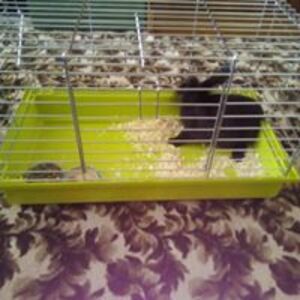 Seznámení s Sympatie12