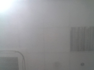 Seznámení s Mattese