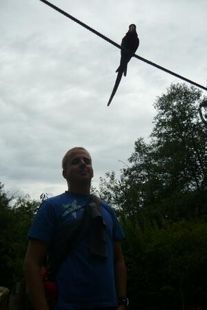 Seznámení s pietrooo