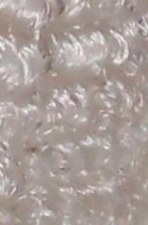 Seznámení s pavlek