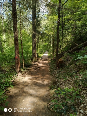 Seznámení s remargue