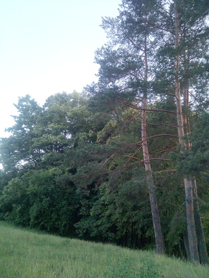 Seznámení s RaADAradim