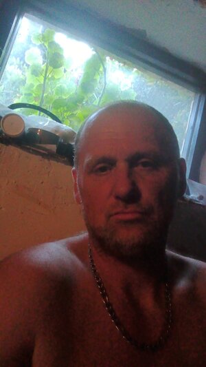 alfie31